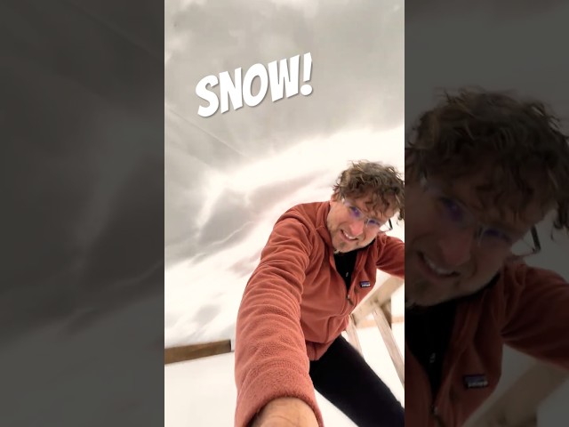 Winter is here! What do we do all day?We bang wet heavy snow off the cover.