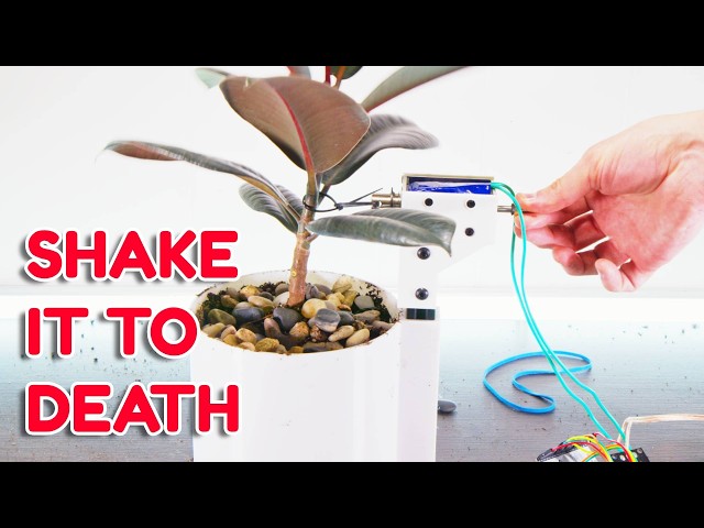Shaking A Plant To See What Happens
