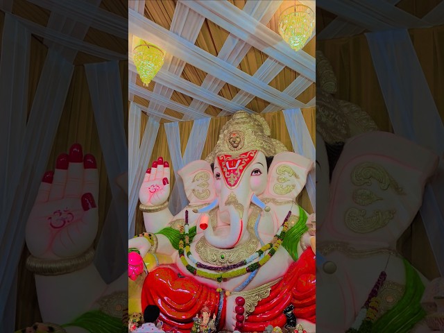 Maa Galli kaa Ganesh @ Panduranga Nagar #ganapatibappamorya #ganapati #ganesh2026 #viral