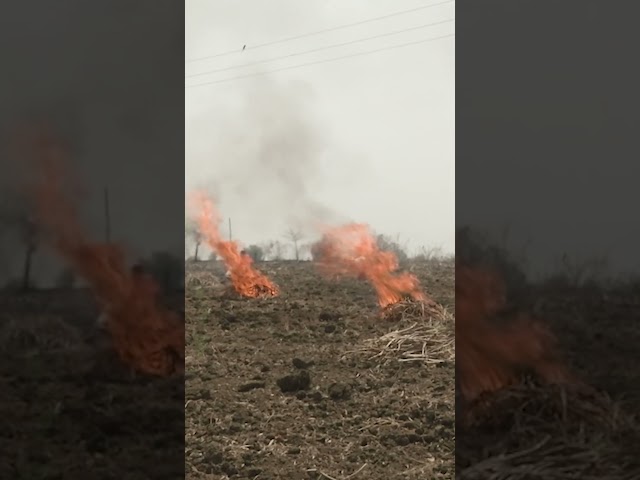 The leading cause of India’s air pollution? Non-stop burning. #india #pollution #environment