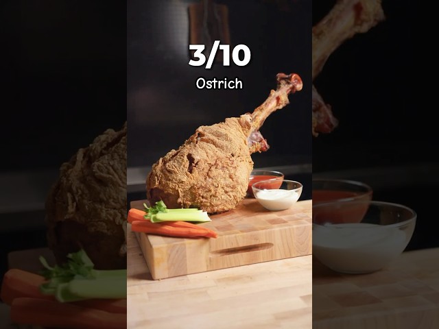 I Cooked Every Bird in the World