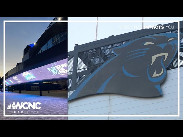 Panthers fans in Charlotte celebrate playoff return
