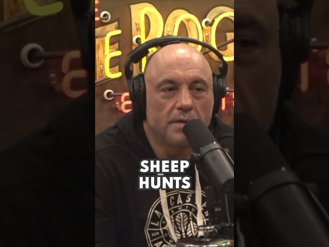 Cliff and Joe Rogan TALK MOUNTAIN GOAT Hunting #Shorts
