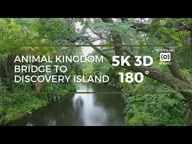 Oasis to Discovery Island Bridge (5K 3D 180°)