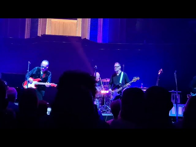 Wonder Woman - Elvis Costello and the Imposters - Royal Albert Hall 15 June 2026