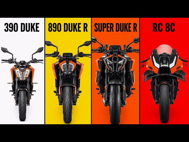 The 7 Levels of KTM Explained in 10 Minutes