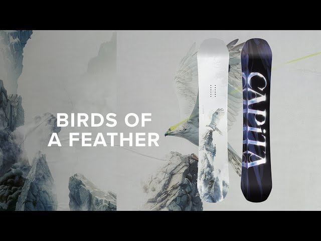 CAPiTA Snowboards | 2026 Birds of a Feather