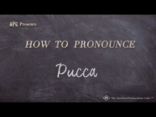 How to Pronounce Pucca (Real Life Examples!)