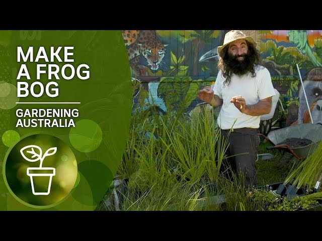 How to create a frog bog habitat