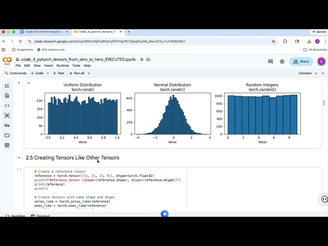 Recording 4 Pytorch 0 to hero 1