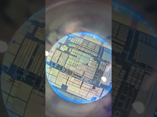 Apple Microchip CPU Under Microscope 🔬