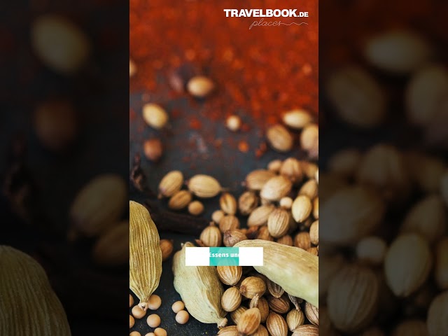 Darum solltest DU unbedingt Urlaub auf SANSIBAR machen #shorts #travelshorts #travel