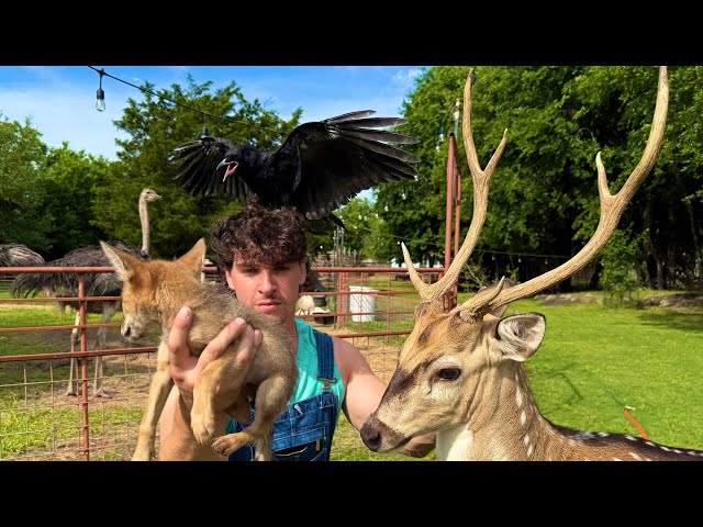 Why I’m Leaving YouTube 