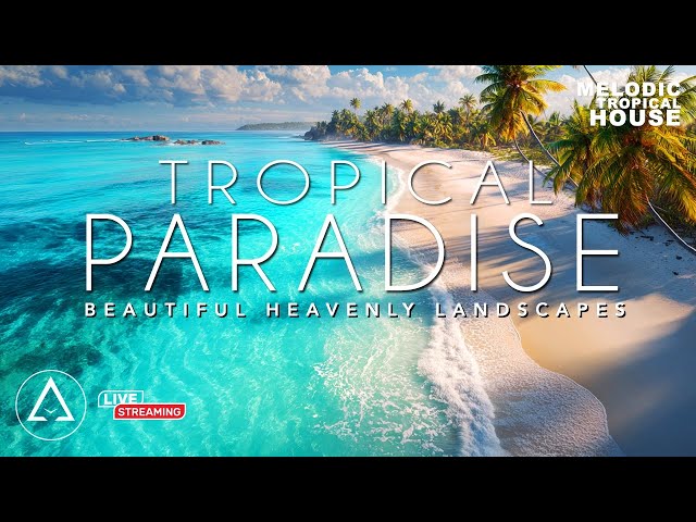 24/7 LIVE Tropical Paradise | Aruba, Bahamas, Saint Martin, Mexico with Tropical House Vibes