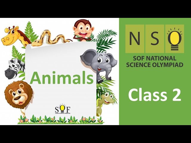 NSO Science Olympiad Class 2 | Animals