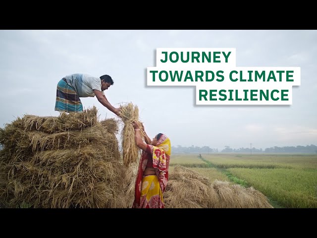 How These Villages Fight Back Against Climate Change in Bangladesh