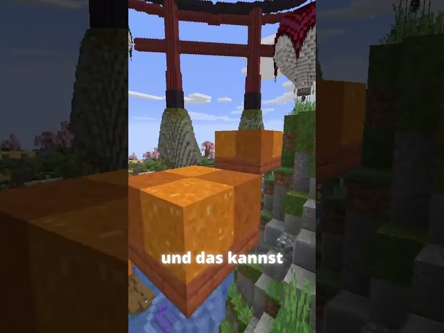 So wirs du reich auf meinem SMP!