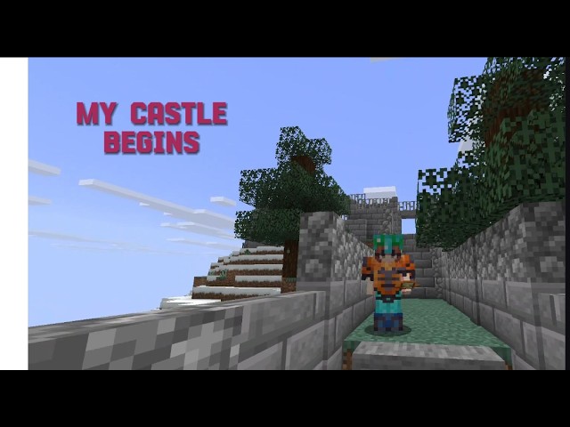 I Started Building My Castle on the SwordSMP...
