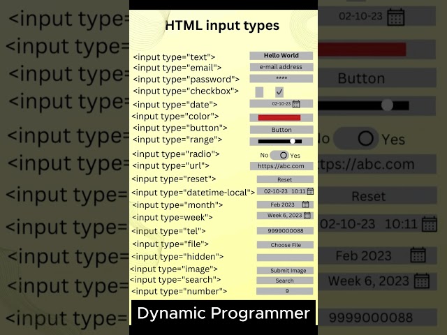 HTML Input Tags Expert with 5 Years Experience Shares Top Tips!
