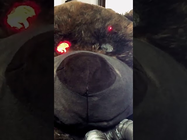 Ted Dies Short