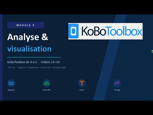 KoboToolbox: Analyzing and visualizing your data