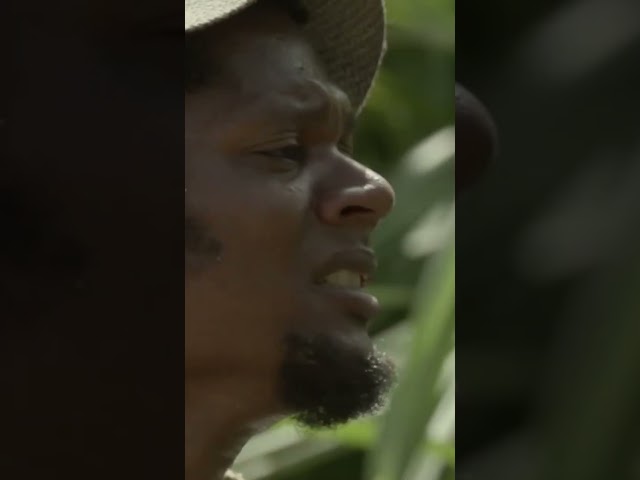 A Desperate Fight for Survival! 🏝️🔥 (The Broken Island) #Shorts