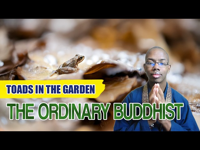 The Ordinary Buddhist: Toads in the Garden