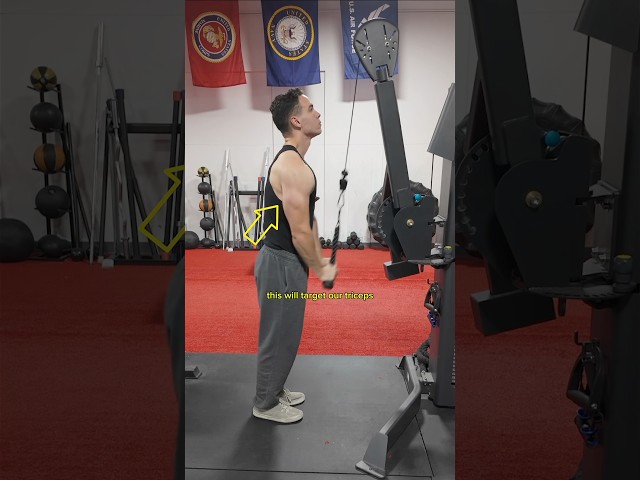 3 beginner friendly exercises for your chest, triceps, and shoulders #gym #workout #beginner