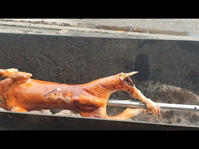 BBQ grilling a whole dog over hot coals. 