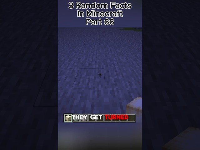 3 Random Facts In Minecraft Part 66