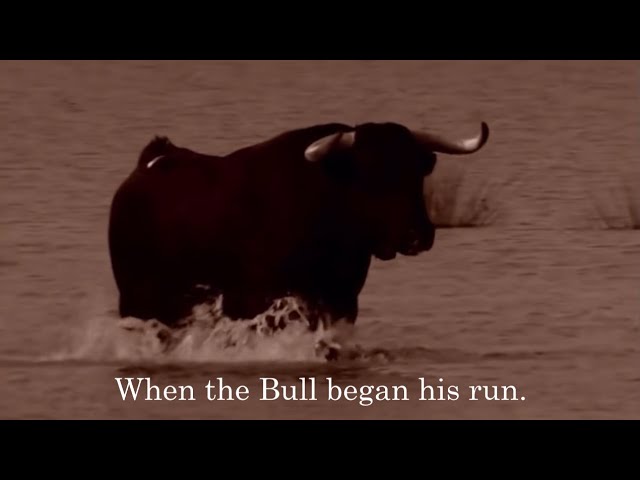 Bitcoin TA - Green Dot Party For The Bulls