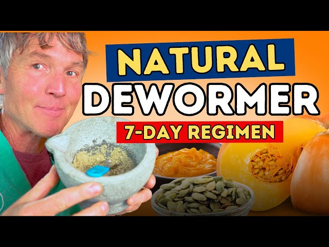 How to Deworm Dogs & Cats Naturally: Pumpkin Cleanse for Parasites