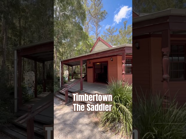 Timbertown - The Saddler #shorts #urbanexploration #travel