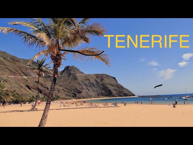 TENERIFE - CANARY ISLANDS , SPAIN