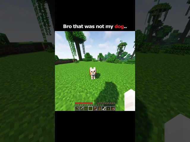 That Was Not My Dog 😭🥀 #minecraft
