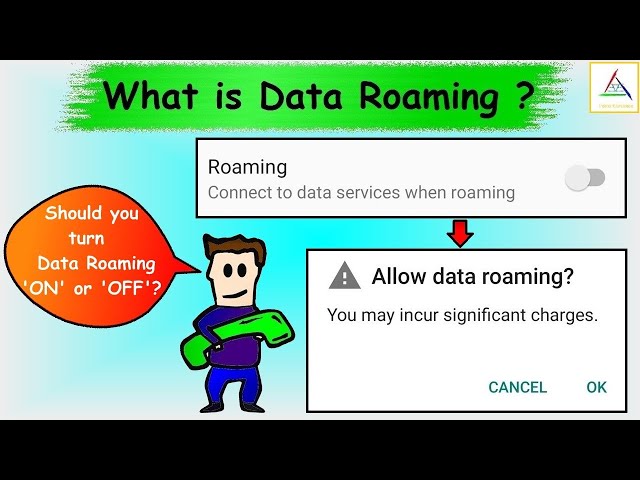 What is Data Roaming ? || Explained