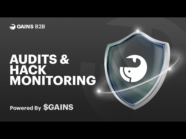 Protect Your Project: Audit & Hack Monitoring