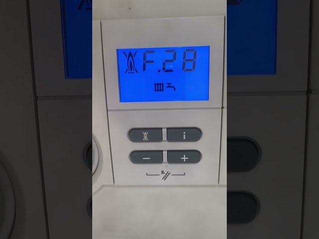 Vaillant ecoTEC F28 fault code