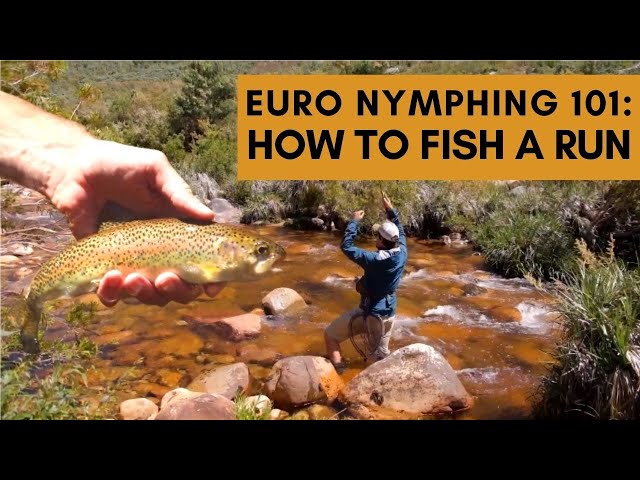 How To Fish a Run for Trout (Euro Nymphing 101)