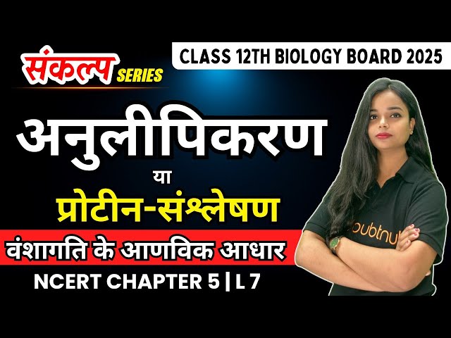 Duplication or Protein Synthesis | 12th Biology Chapter 5 Molecular Basis of Inheritance | 12th H...