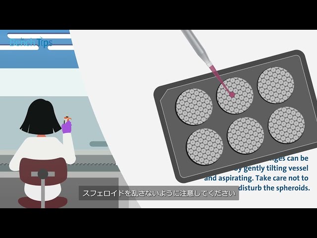 Bench Tips: スフェロイドの大量形成