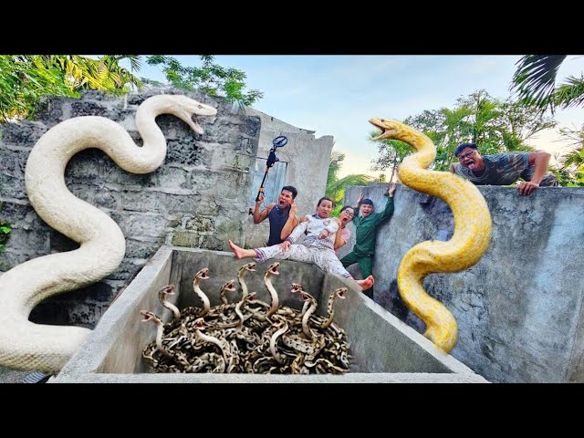 brave soldier uses a high-tech snake detector to locate a giant python's nest