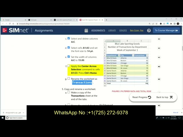 In Practice Excel 365: Application Capstone Project 2 |Step-by-Step SIMnet Solution |