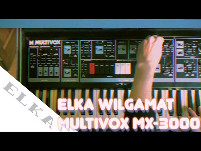 V.A.I. 56 Elka Wilgamat / Multivox MX-3000