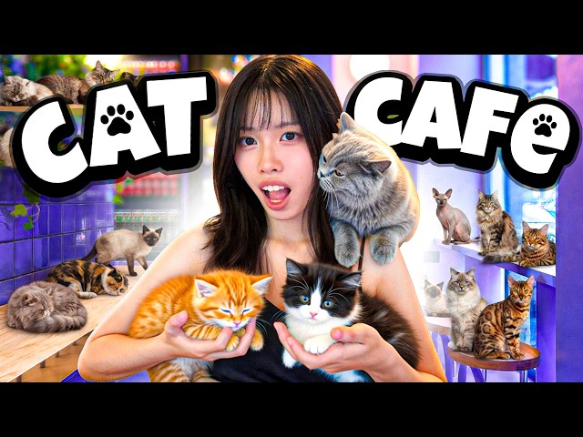 Going To The CUTEST Cat Cafe!