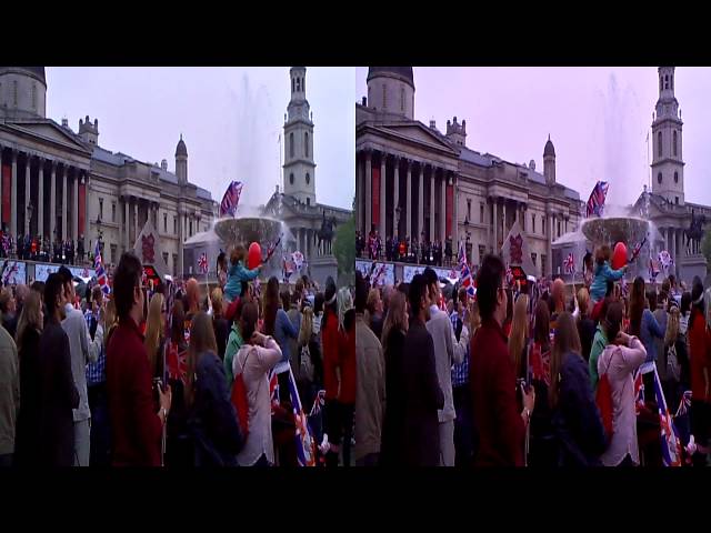 Royal Wedding trafalgar square crowd 3D