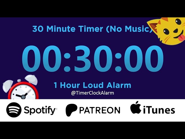 30 minute Timer Countdown (No Music) + 1 Hour Loud Alarm