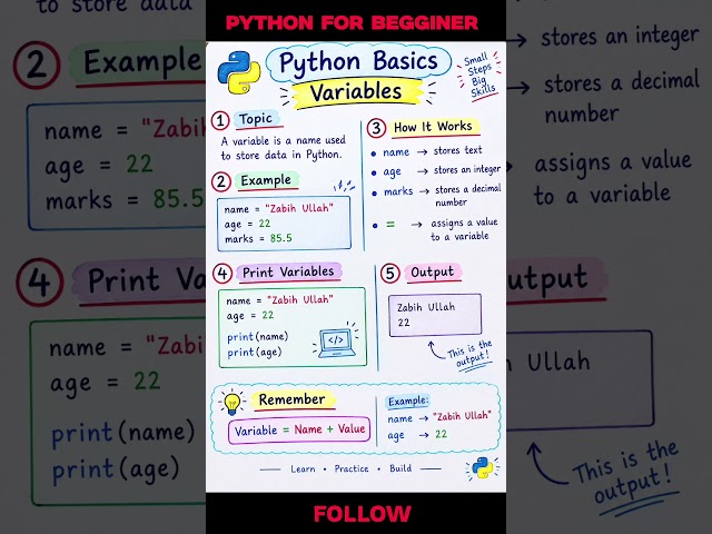 Python Variables Explained | Python Basics for Beginners