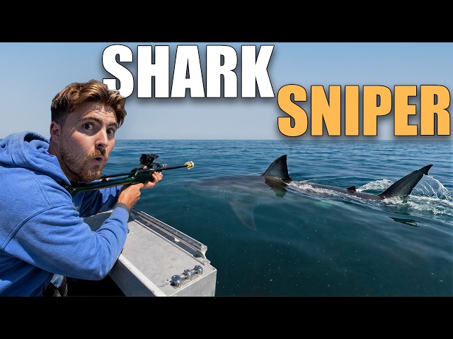 Why Shark Scientists Are Now Using Guns (It's Not What You Think)