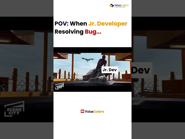 Senior Developer Fixes Bugs Like a Pro vs Junior Developer's Bug Fix Gone Wrong!